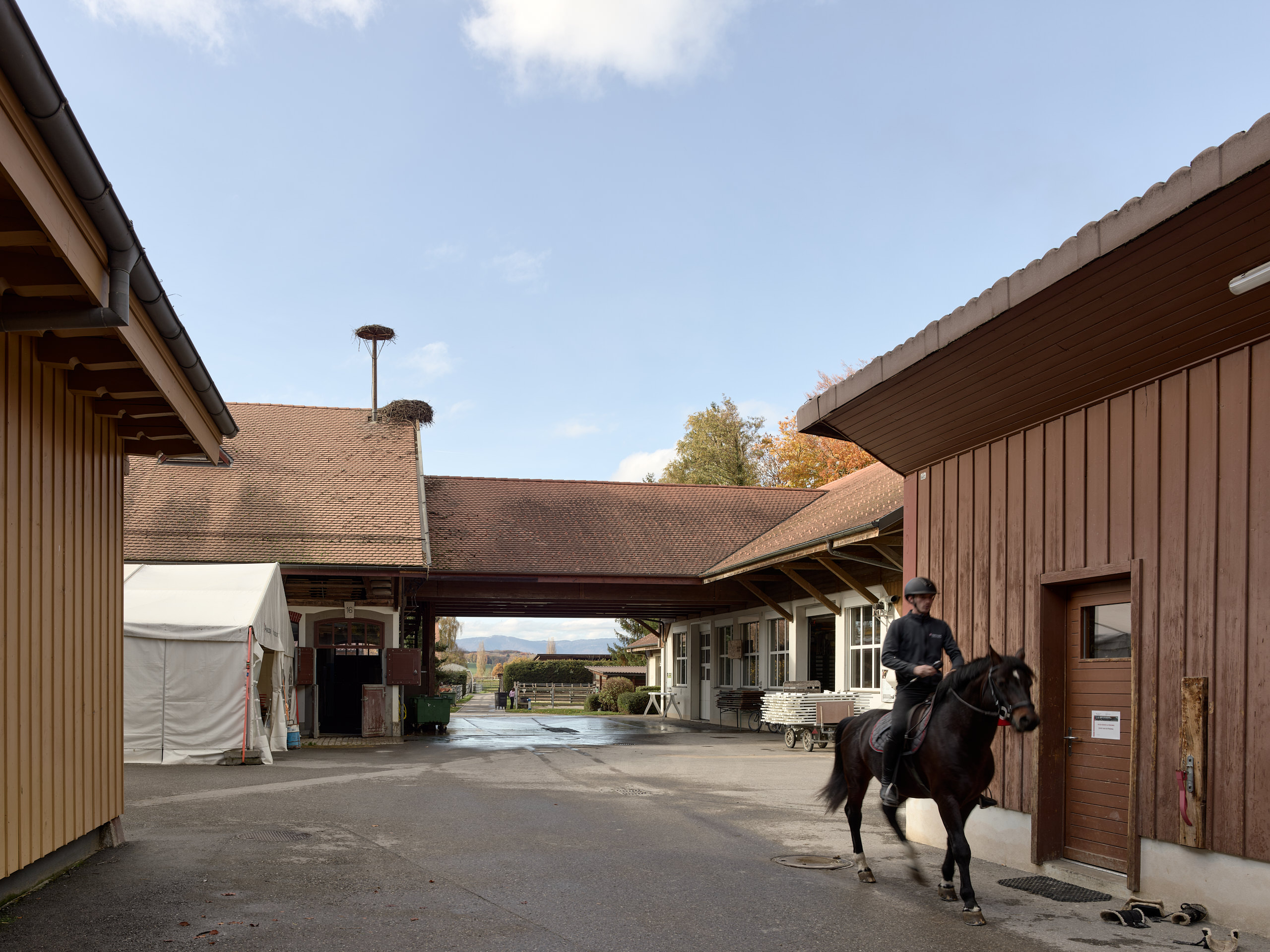 Haras National